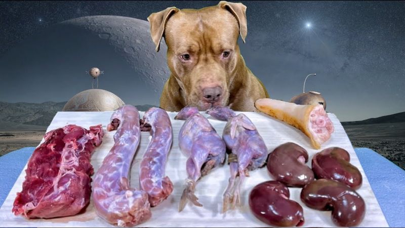 Balanced Diet
