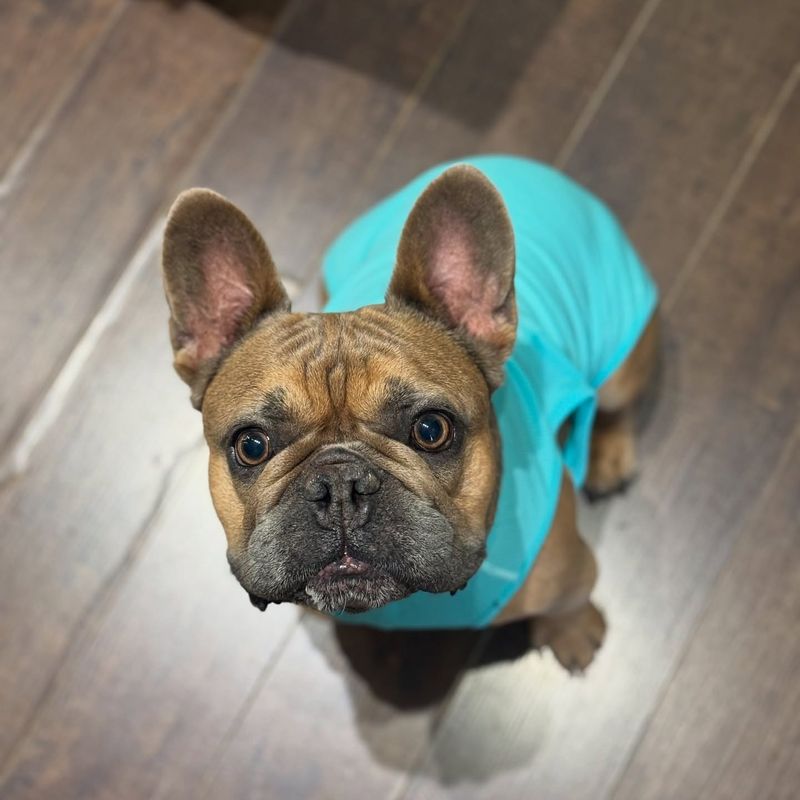 Cooling Vest