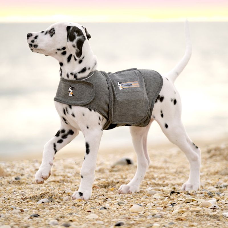 Use a Thundershirt