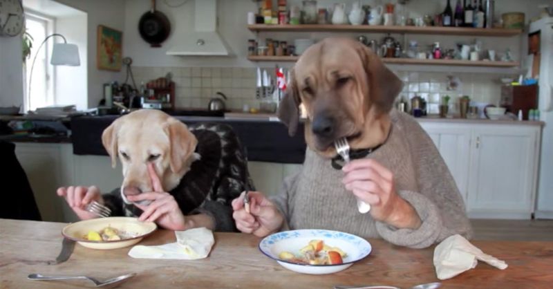Similar Food Preferences