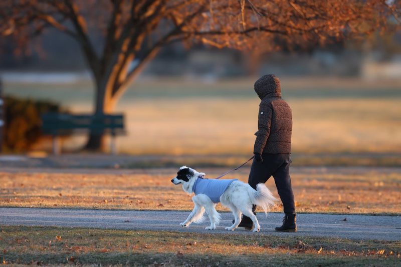 Daily Walks and Movement