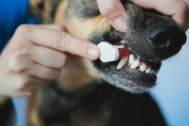 Neglecting Dental Care