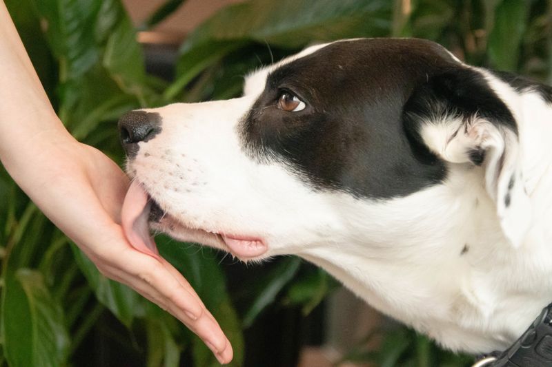 Gentle Nuzzles and Nudges