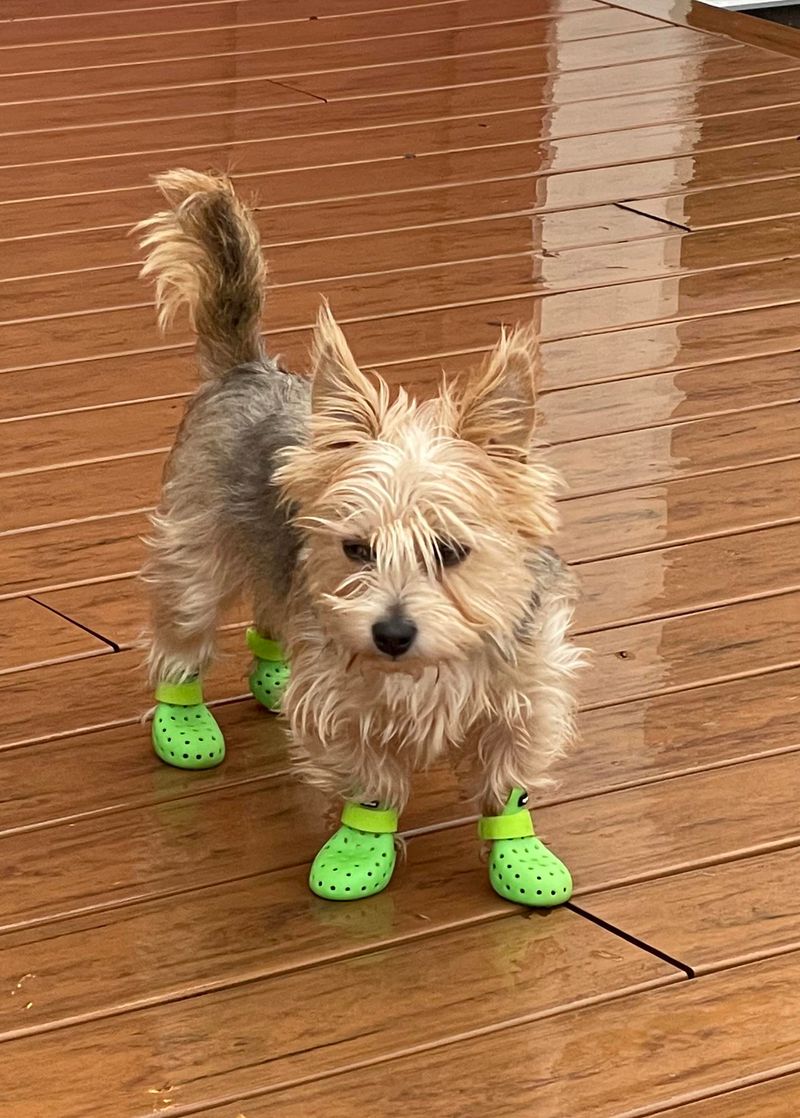 Cool Footwear